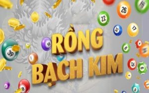 Dàn đề rồng bạch kim và phương pháp soi chuẩn xác nhất